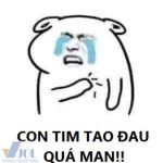 Meme Đau Khổ Đau Tim – Ảnh Chế Đâu Ở Đây Này Hài 💔