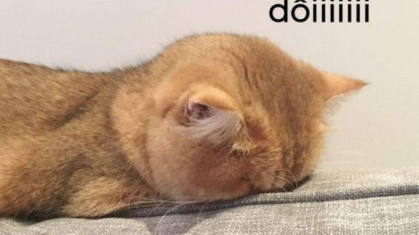 Meme Dỗi – Ảnh Chế Giận Dỗi Hờn Mát Cute Gửi Crush 😤