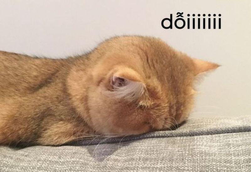 Meme Dỗi – Ảnh Chế Giận Dỗi Hờn Mát Cute Gửi Crush 😤 63 Không giận, chỉ không muốn nhìn mặt nữa