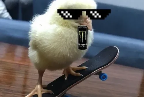 Gà Meme Chicken – Ảnh Chế Con Gà Biểu Cảm Hài 🐔
