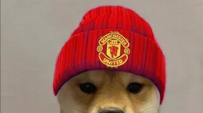 MU Meme – Ảnh Chế Manchester United Fan Hài Hước ⚽