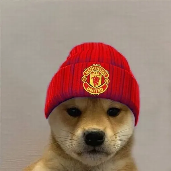 MU Meme – Ảnh Chế Manchester United Fan Hài Hước ⚽ 28 Hình chế MU phong độ sa sút
