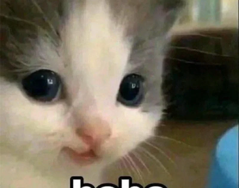 Meme Hehe Boy – Ảnh Chế Biểu Cảm Hehe Tinh Nghịch 😏