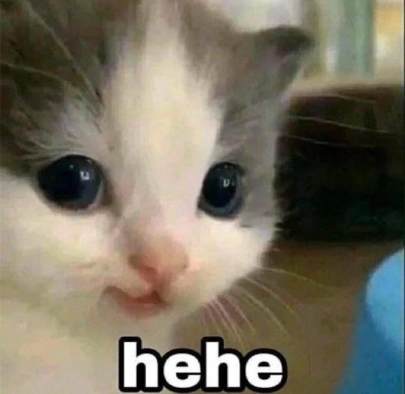 Meme Hehe Boy – Ảnh Chế Biểu Cảm Hehe Tinh Nghịch 😏 4 Hehe meme cute