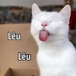 Meme Lêu Lêu – Tổng Hợp Ảnh Chế Lêu Lêu Hài Hước