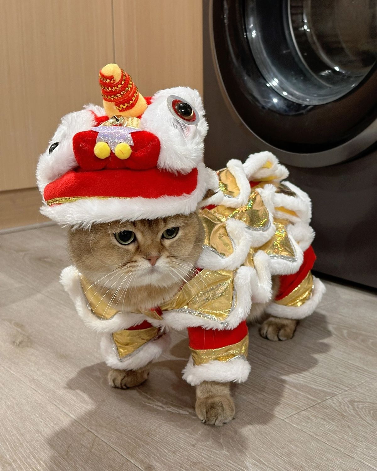 Meme Tết – Ảnh Chế Ngày Tết Lì Xì Họp Mặt Hài Hước 🧧 11 Meme Tết vui nhộn giúp mọi người xích lại gần nhau trong ngày lễ