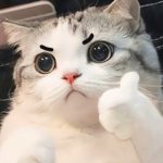 Meme Like – Ảnh Chế Nút Like Hành Động Thích Hài 👍