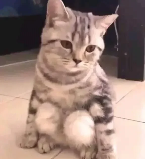 Meme Tủi Thân – Ảnh Chế Biểu Cảm Tủi Thân Buồn Hài 😢