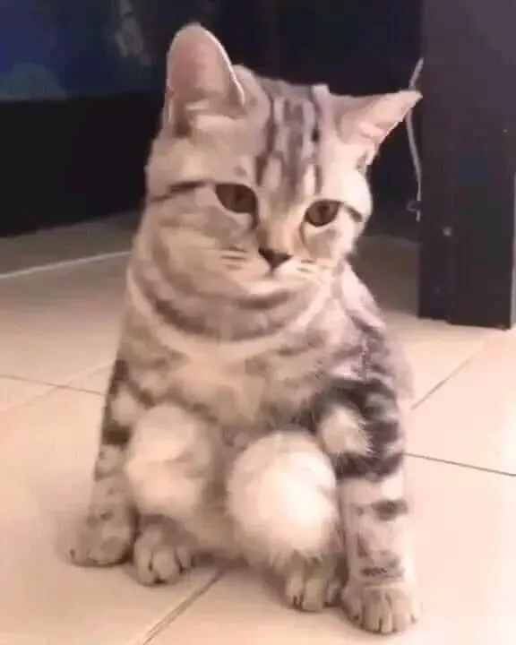 Meme Tủi Thân – Ảnh Chế Biểu Cảm Tủi Thân Buồn Hài 😢 31 Meme tủi thân khi thất bại trong công việc