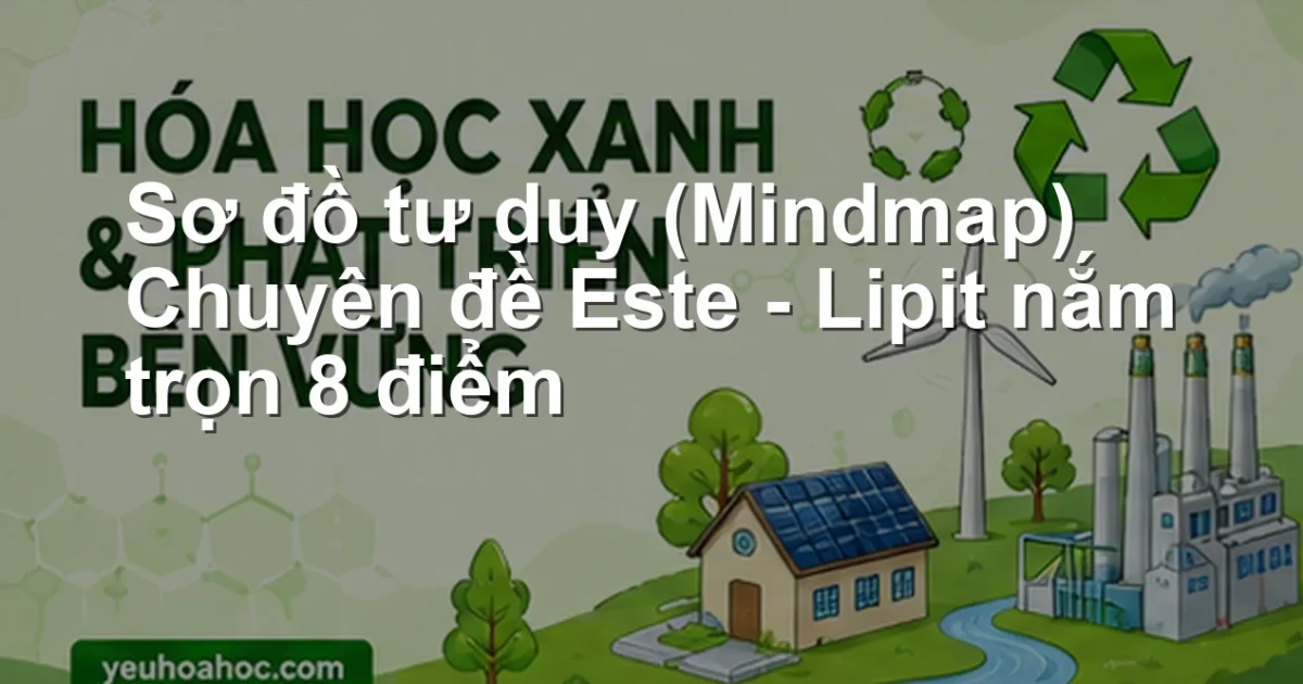 Sơ đồ tư duy (Mindmap) Chuyên đề Este – Lipit nắm trọn 8 điểm