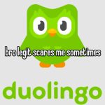 Duolingo Meme – Ảnh Chế Cú Xanh Đe Dọa Học Bài Hot 🦉