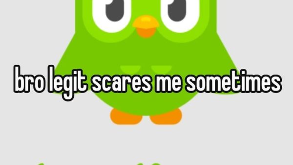 Duolingo Meme – Ảnh Chế Cú Xanh Đe Dọa Học Bài Hot 🦉