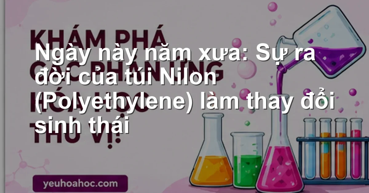 Ngày này năm xưa: Sự ra đời của túi Nilon (Polyethylene) làm thay đổi sinh thái