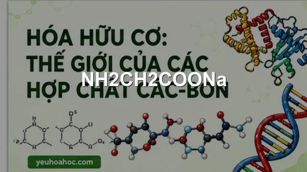 NH2CH2COONa