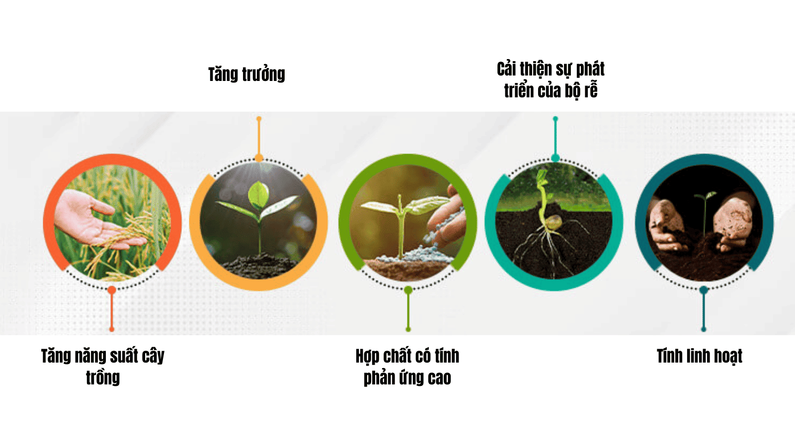 nhung-loi-ich-va-tac-dung-cua-phan-bon-dap-doi-voi-cay-trong Những lợi ích và tác dụng của phân bón DAP đối với cây trồng
