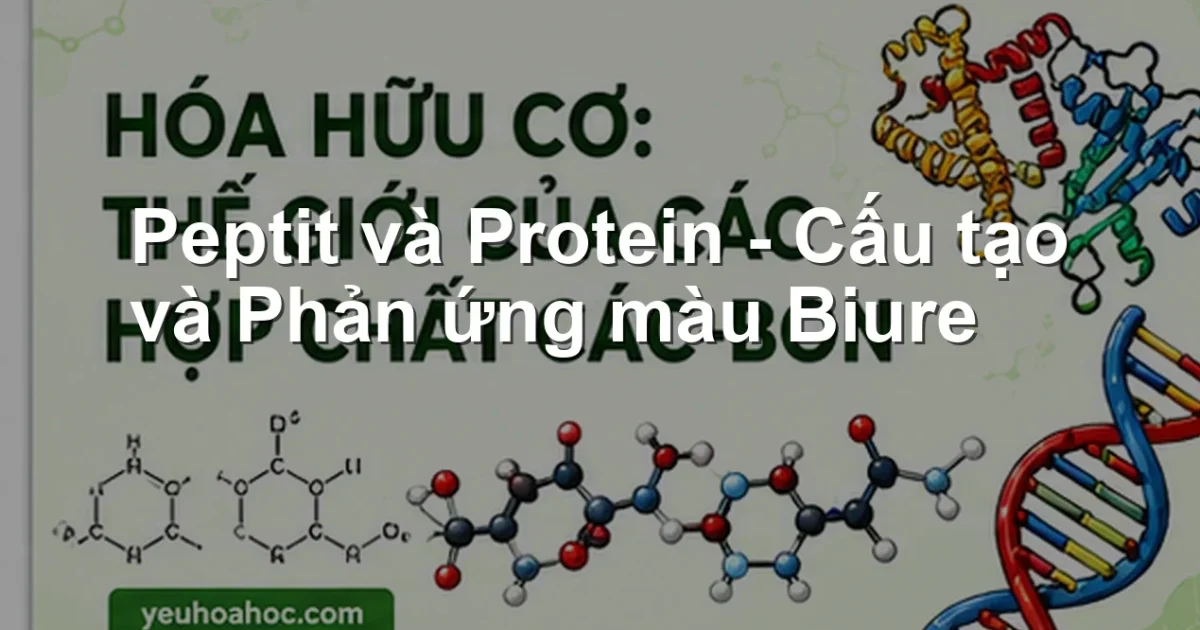 Peptit và Protein – Cấu tạo và Phản ứng màu Biure