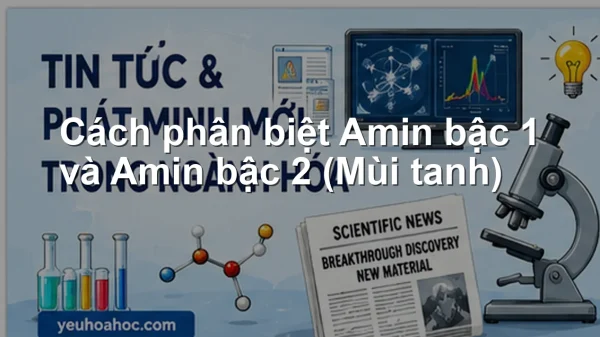 Cách phân biệt Amin bậc 1 và Amin bậc 2 (Mùi tanh)