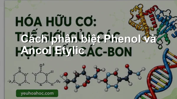 Cách phân biệt Phenol và Ancol Etylic