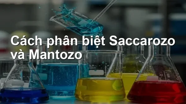 Cách phân biệt Saccarozo và Mantozo