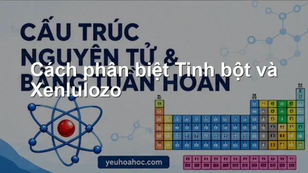 Cách phân biệt Tinh bột và Xenlulozo