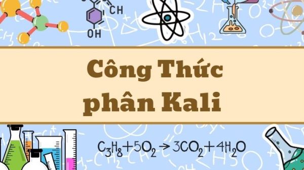 Tổng quan phân kali công thức và ứng dụng trong nông nghiệp