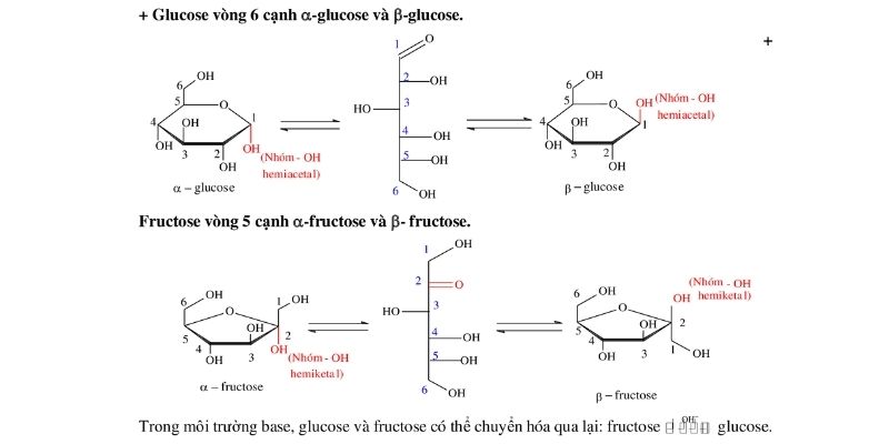 phản ứng hóa học đặc trưng của carbohydrate