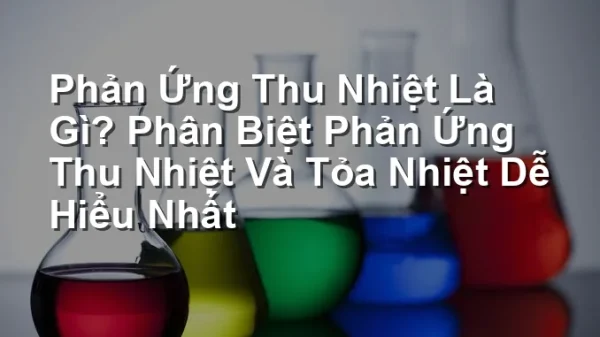 Phản Ứng Thu Nhiệt Là Gì? Phân Biệt Phản Ứng Thu Nhiệt Và Tỏa Nhiệt Dễ Hiểu Nhất