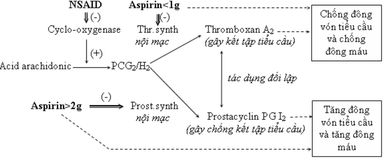quy-trinh-tong-hop-aspirin-trong-phong-thi-nghiem quy trình tổng hợp aspirin trong phòng thí nghiệm