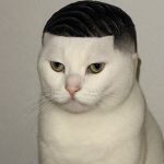 Meme Ngầu – Ảnh Chế Biểu Cảm Cool Ngầu Lòi Hài 😎