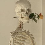 Skeleton Meme – Ảnh Chế Bộ Xương Spooky Hài Hước 💀