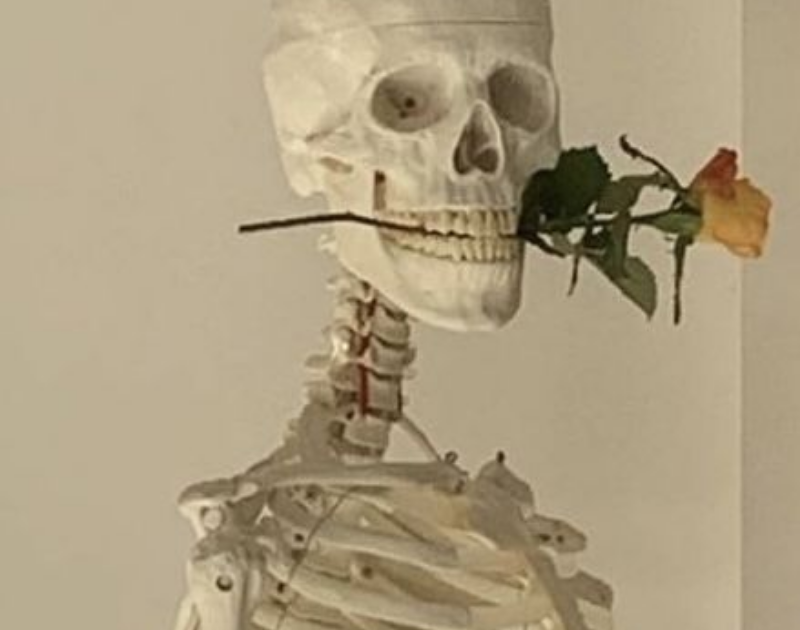 Skeleton Meme – Ảnh Chế Bộ Xương Spooky Hài Hước 💀