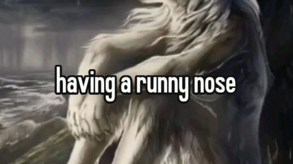 Sói Cô Độc Meme – Ảnh Chế Lone Wolf Sigma Male Hot 🐺