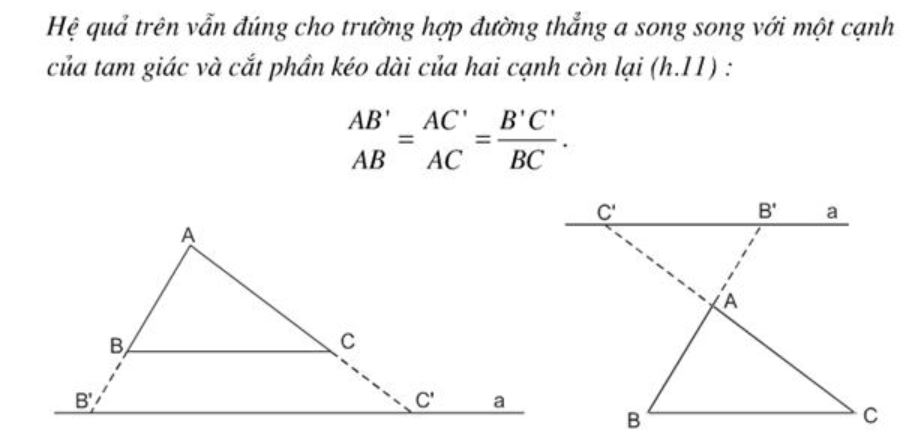 talet-dao talet đảo