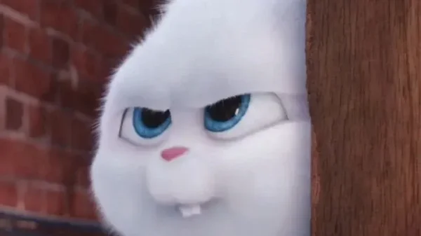 Thỏ Snowball Meme – Ảnh Chế Thỏ Trắng Secret Life 🐰