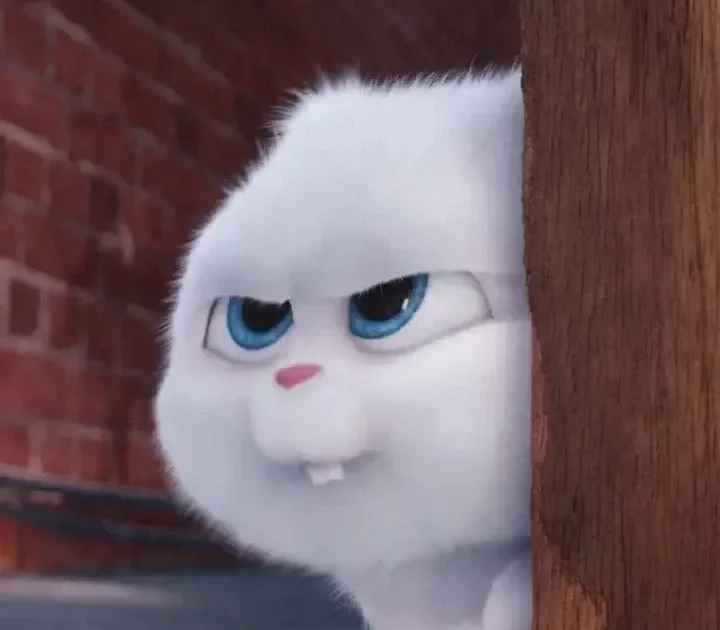 Thỏ Snowball Meme – Ảnh Chế Thỏ Trắng Secret Life 🐰