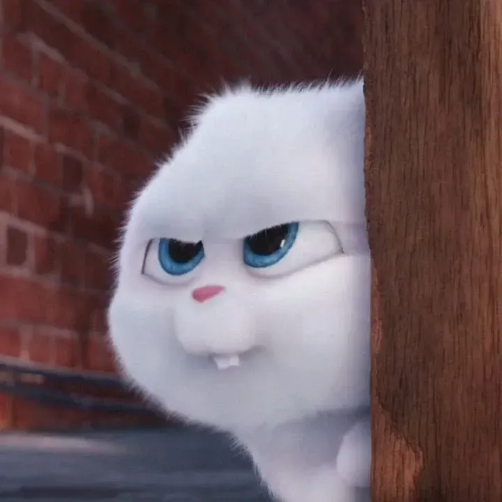 Thỏ Snowball Meme – Ảnh Chế Thỏ Trắng Secret Life 🐰 1 Ảnh Thỏ Snowball Meme cực kỳ dễ thương