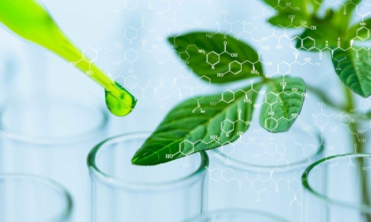 tinh-chat-vat-ly-va-hoa-hoc-cua-isopropyl-fomat Tính chất vật lý và hóa học của isopropyl fomat