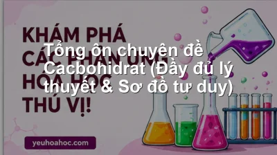 Tổng ôn chuyên đề Cacbohidrat (Đầy đủ lý thuyết & Sơ đồ tư duy)