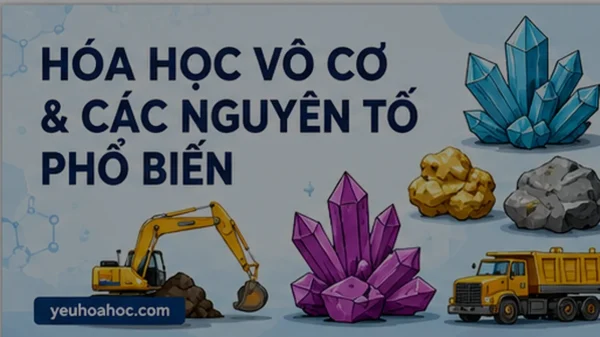 Tổng quan toàn tập về SDS / MSDS