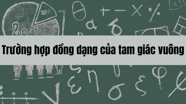 Các trường hợp đồng dạng của tam giác vuông và ứng dụng trong hình học