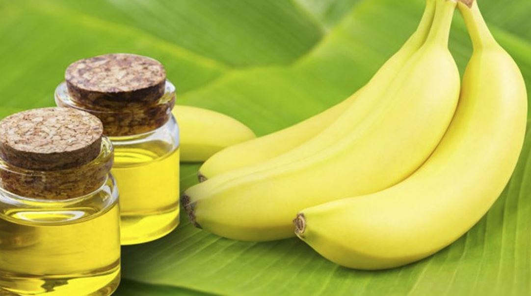 ung-dung-cua-isoamyl-axetat-trong-doi-song-va-cong-nghiep ứng dụng của isoamyl axetat trong đời sống và công nghiệp