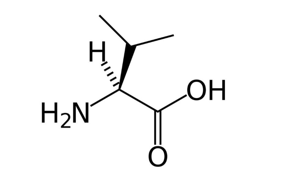 valin-trong-thuc-pham valin trong thực phẩm