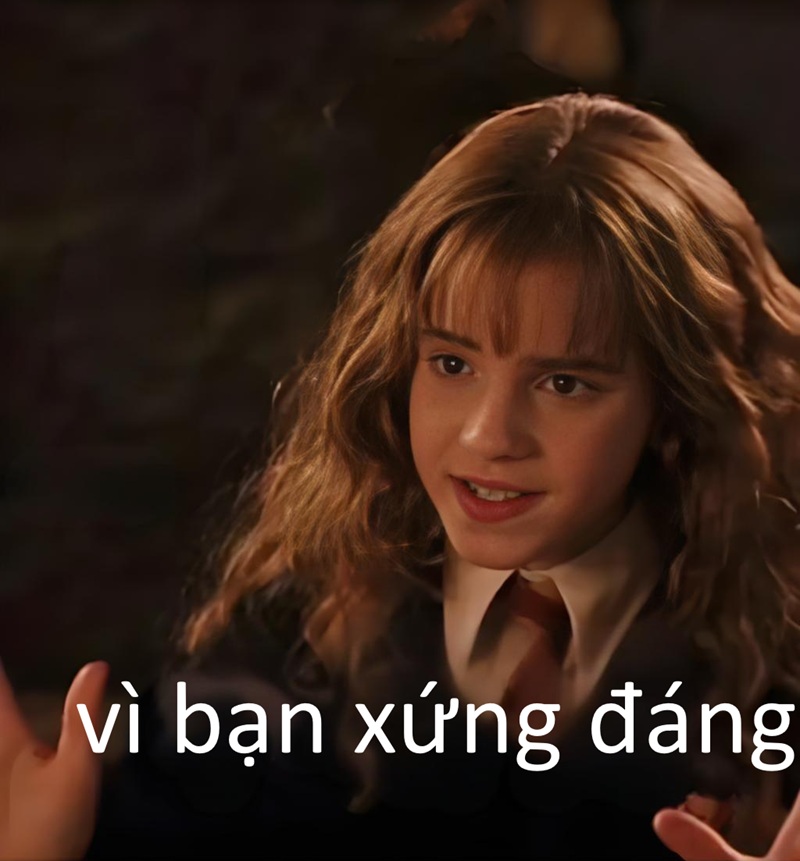 Vì Bạn Xứng Đáng Meme – Ảnh Chế Slogan L’Oreal Hài 💄 40 Ảnh chế vì bạn xứng đáng 32