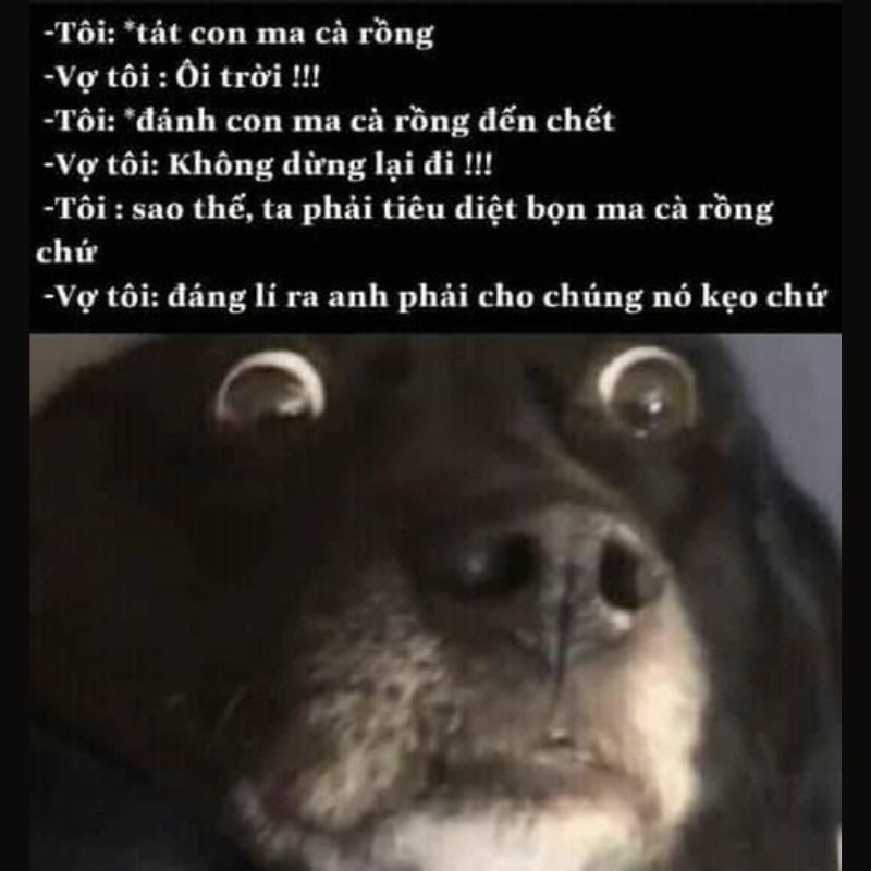 Dark Meme – Kho Ảnh Chế Hài Đen Châm Biếm Sâu Cay 🖤 120 ảnh dark meme chế cực tối