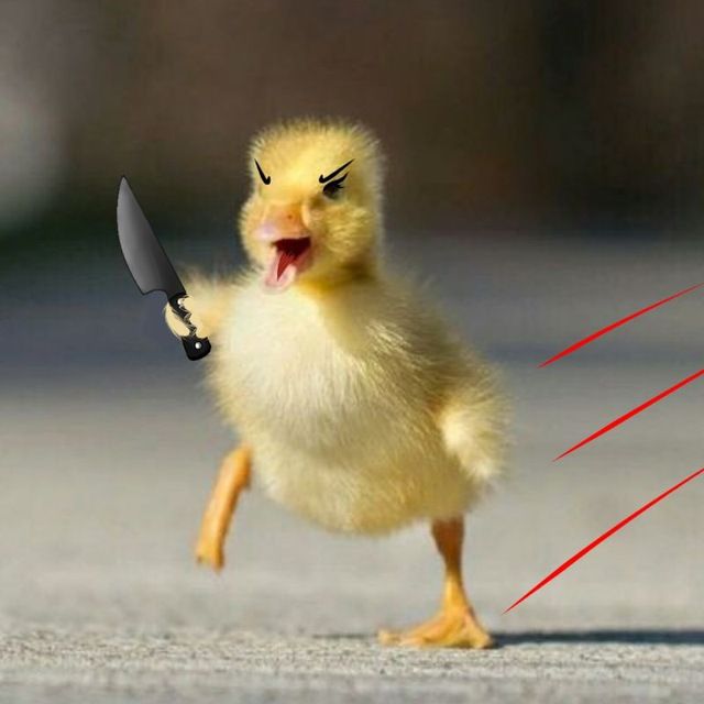 Meme Cầm Dao – Ảnh Chế Đe Dọa Hài Hước Troll Bạn Bè 🔪 96 Cầm dao cho có khí chất, không có ý gì