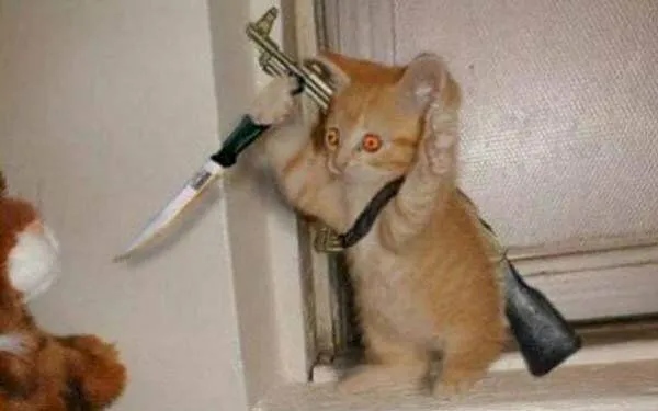 Meme Cầm Dao – Ảnh Chế Đe Dọa Hài Hước Troll Bạn Bè 🔪 99 Cầm dao để giữ lòng kiên nhẫn không nổ tung