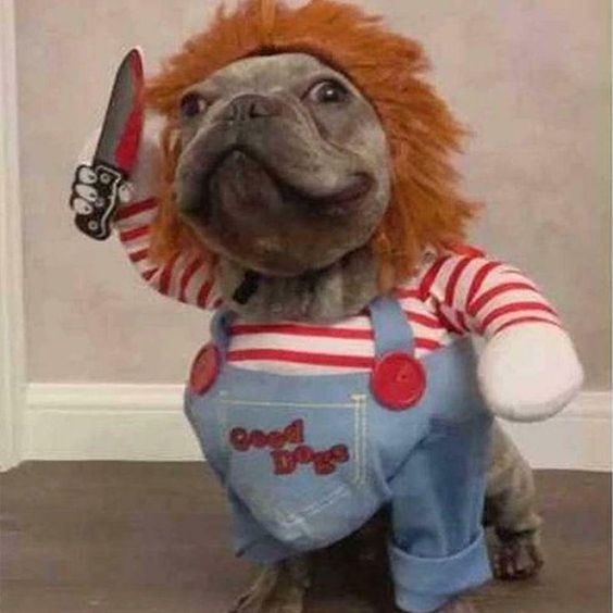 Meme Cầm Dao – Ảnh Chế Đe Dọa Hài Hước Troll Bạn Bè 🔪 103 Cầm dao đi loanh quanh chờ anh nhắn lại