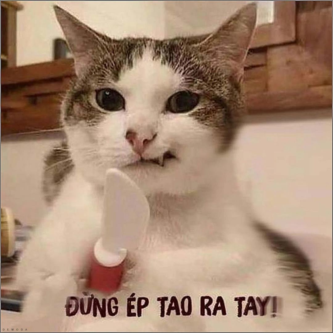Meme Cầm Dao – Ảnh Chế Đe Dọa Hài Hước Troll Bạn Bè 🔪 122 Cầm dao trong tay nhưng con tim vẫn rung động