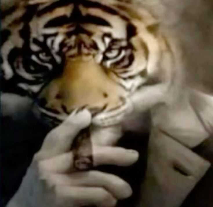 Meme Nín – Ảnh Chế Nhịn Cười Trong Tình Huống Khó Xử 🤐 31 Câm đi kẻo người ta giận