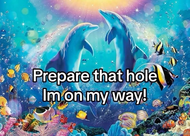 Meme Sẽ Gầy – Tổng Hợp Ảnh Chế Giảm Cân Cười Xỉu 😂 81 chế ảnh sẽ gầy meme anime hài hước